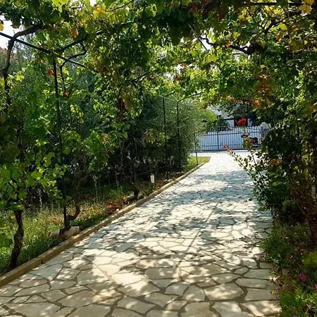 Ara-mazic *