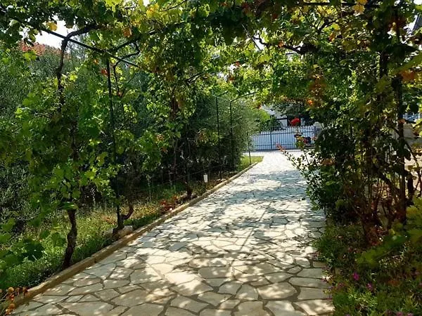 Ara-mazic *